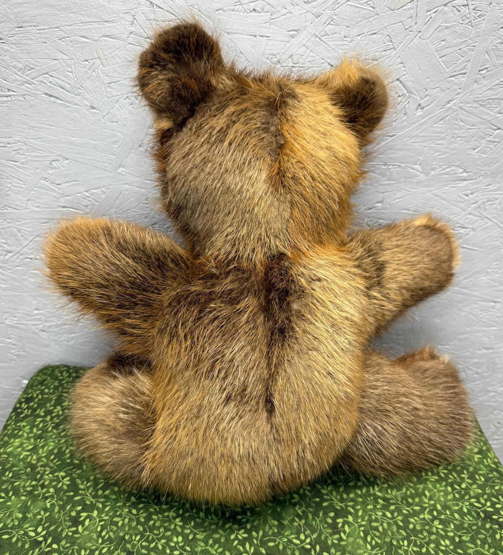 Beaver Bear - Large