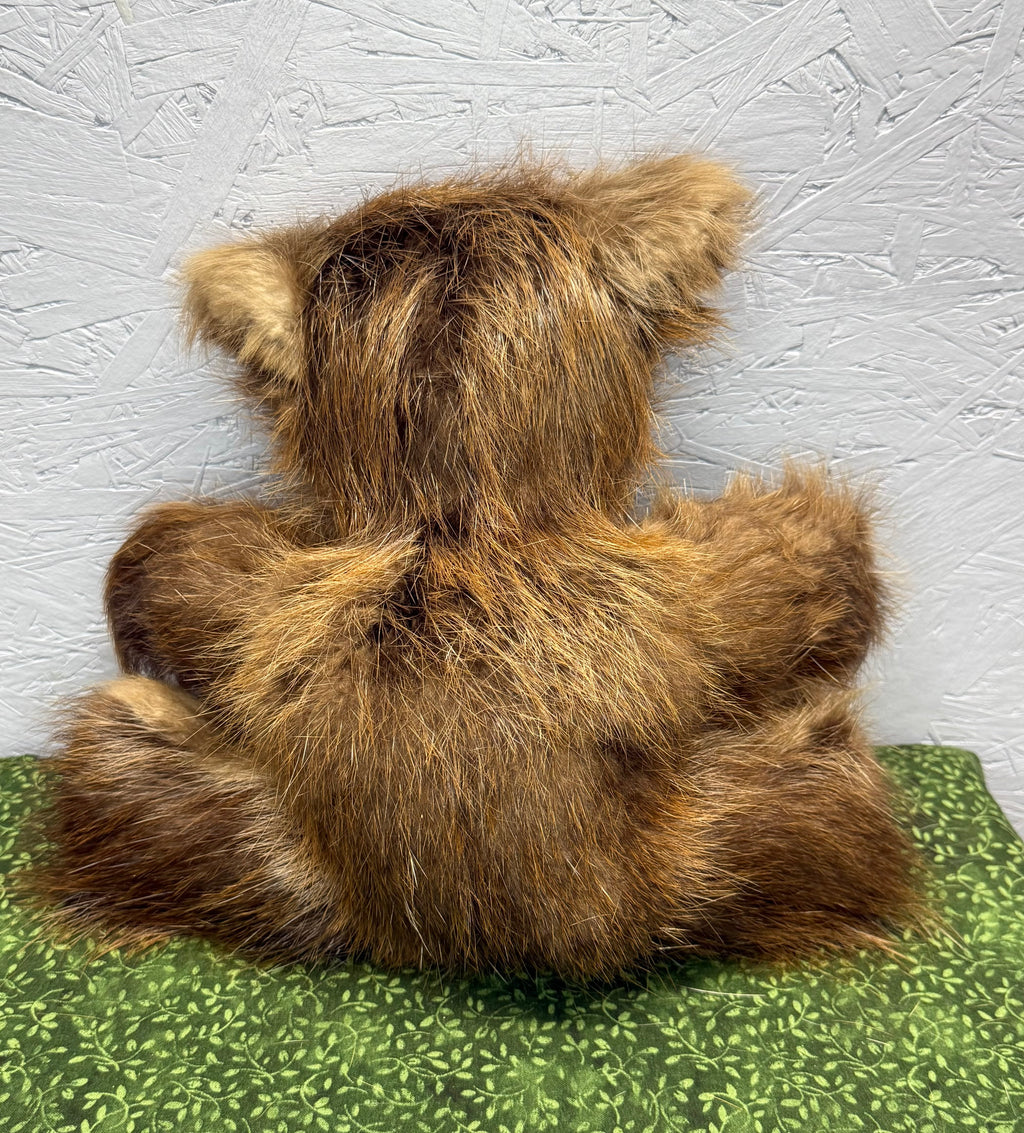 Beaver Bear - Medium