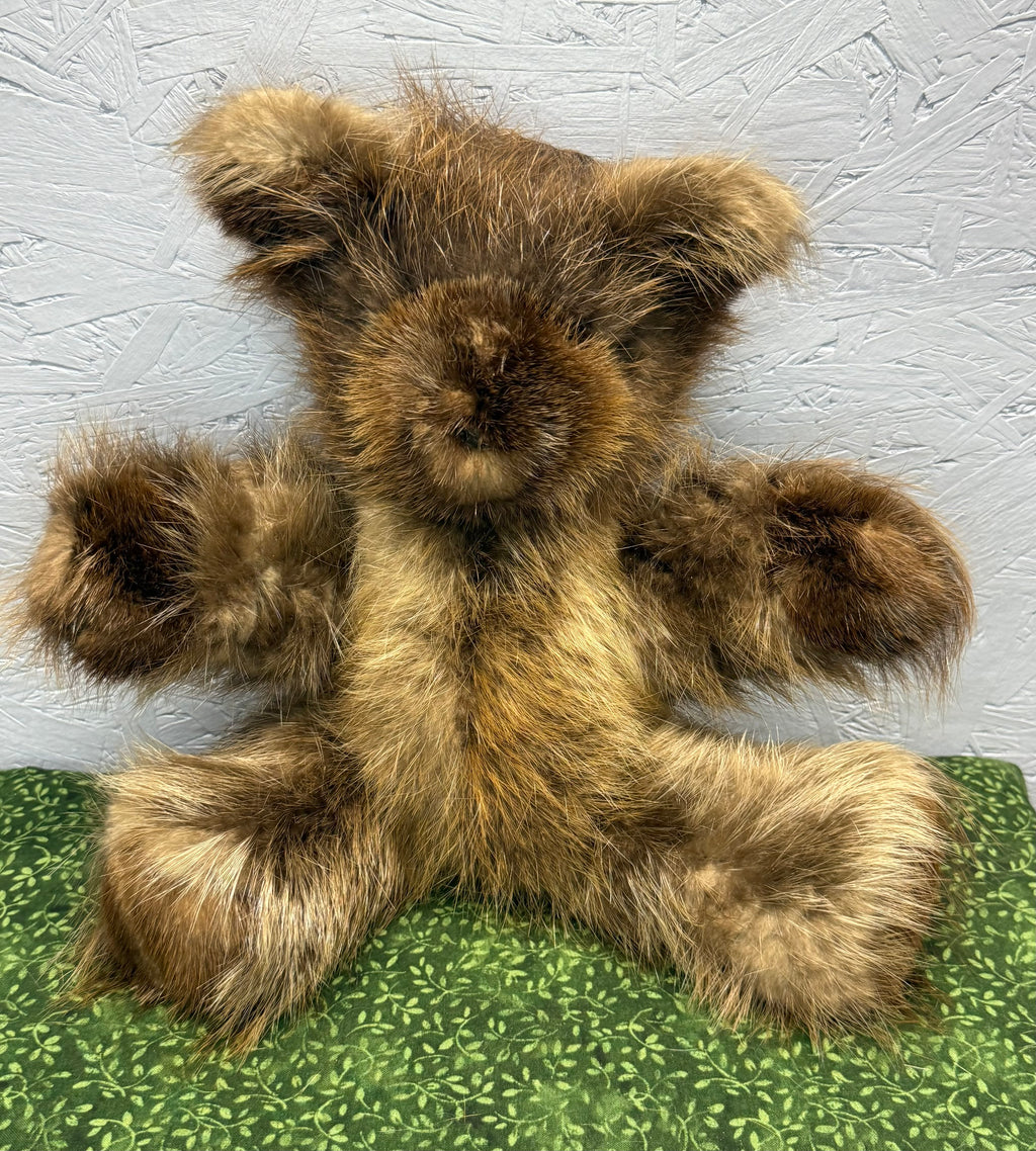 Beaver Bear - Medium