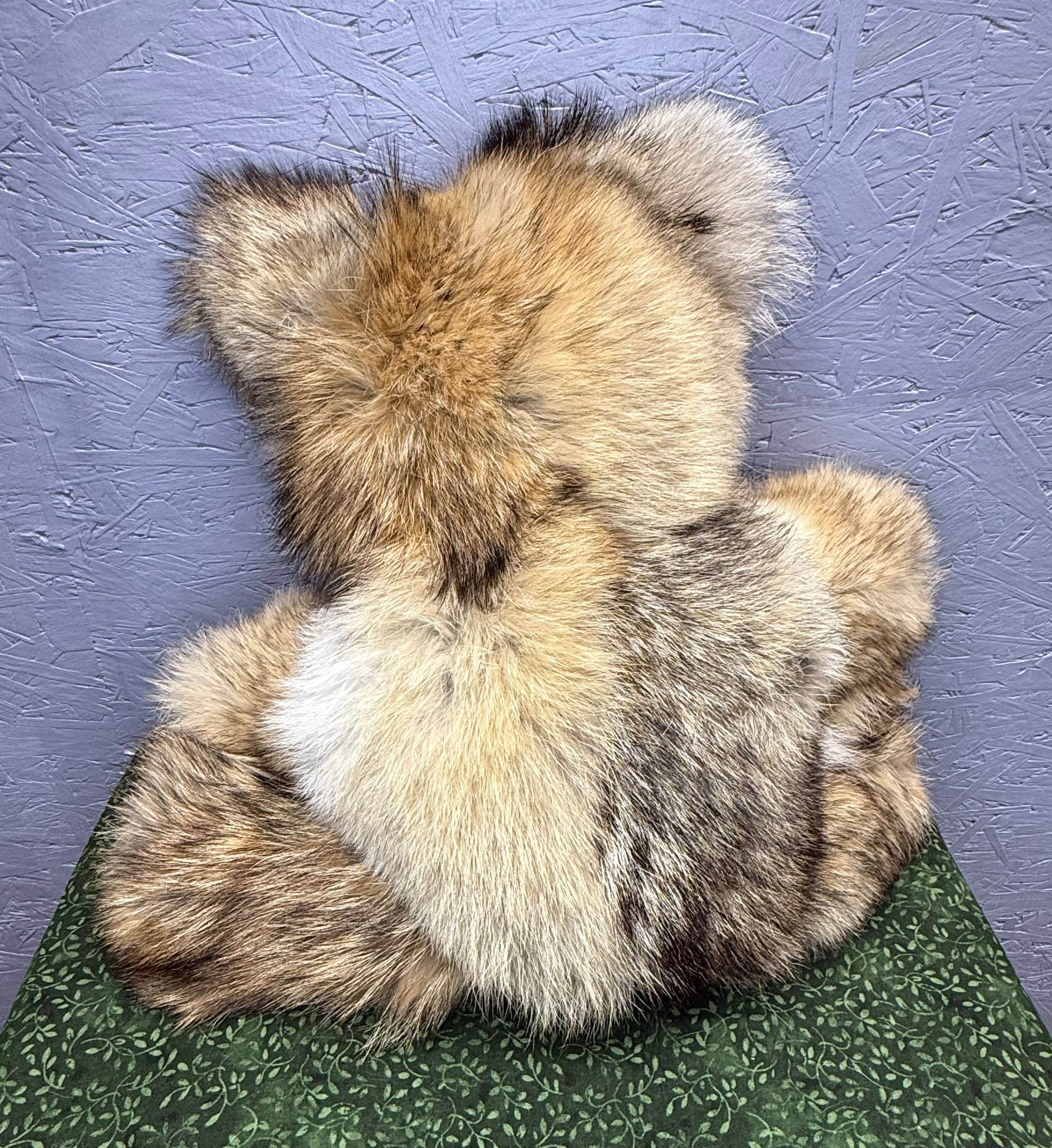 Coyote Bear - Large