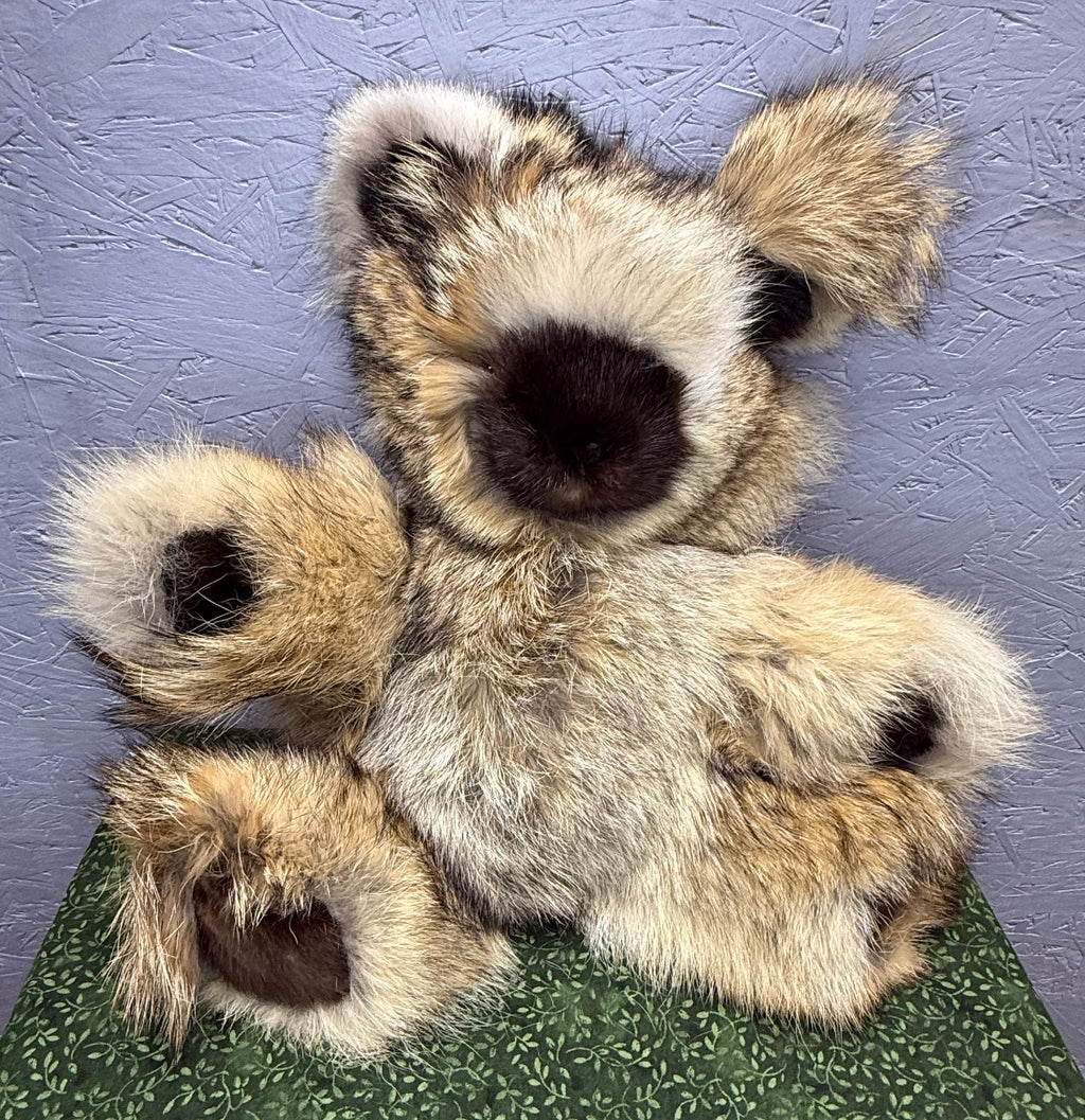 Coyote Bear - Large