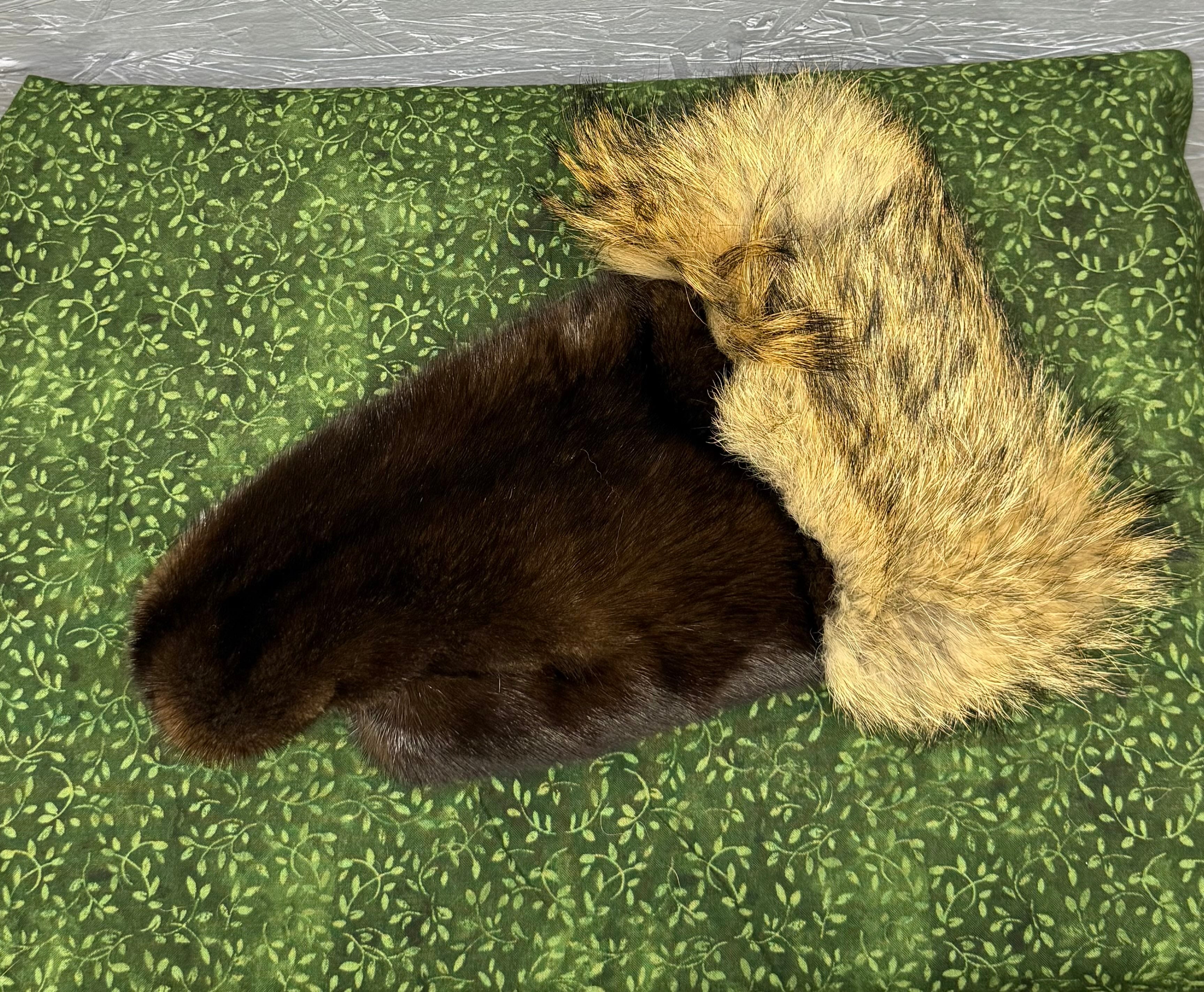 Mink and Coyote Mittens