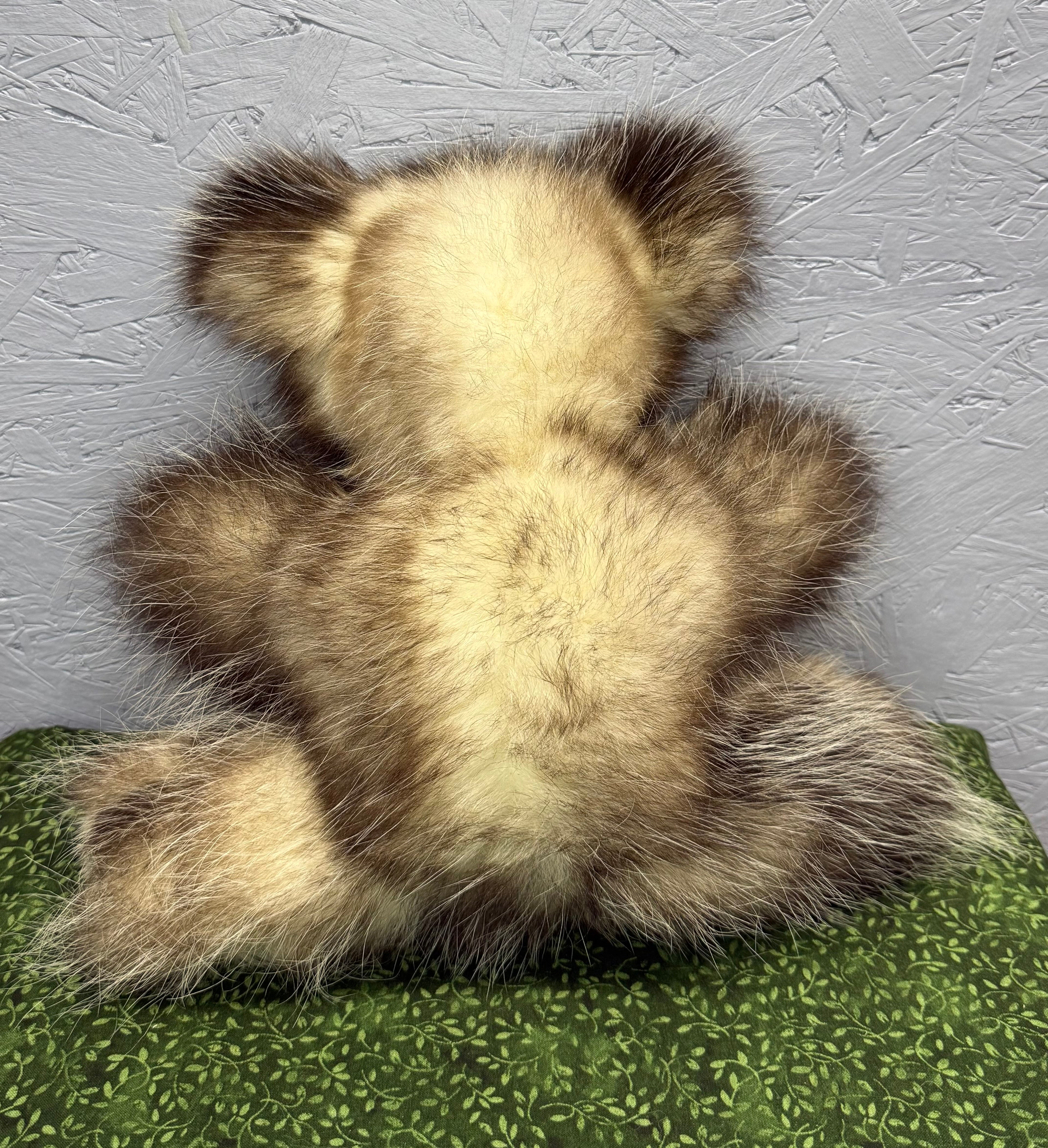 Opossum Bear - Medium