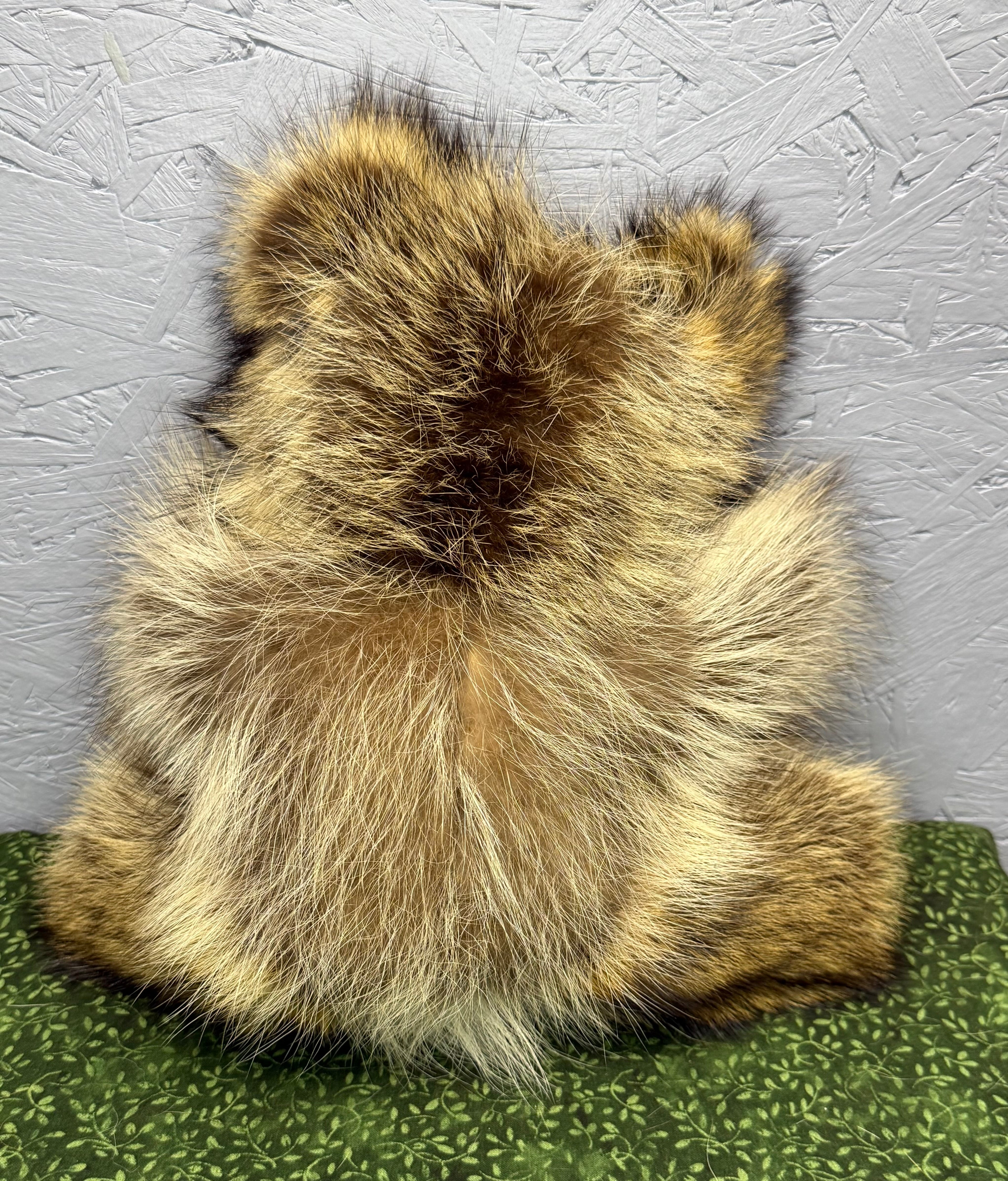 Raccoon Bear - Medium