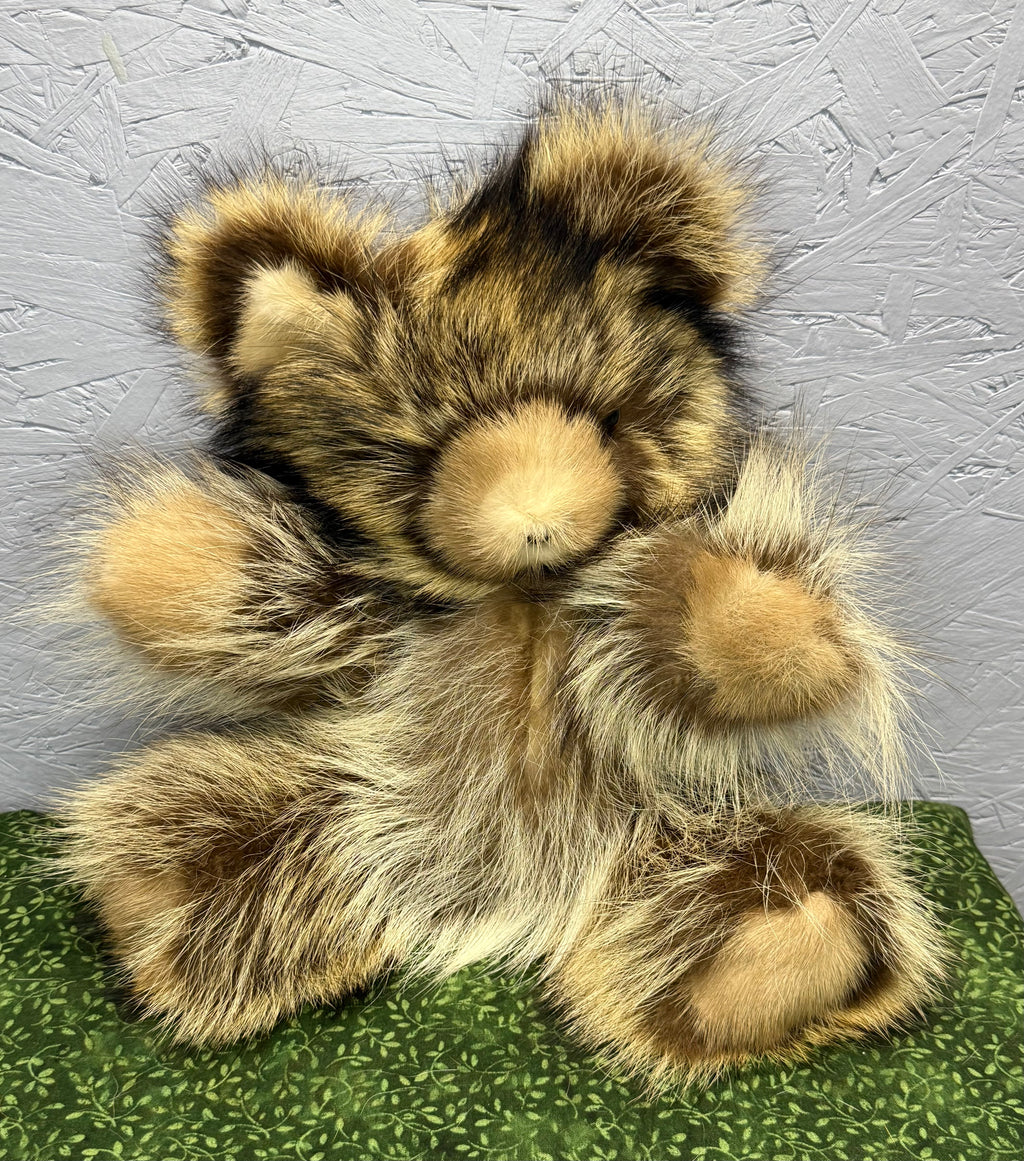 Raccoon Bear - Medium