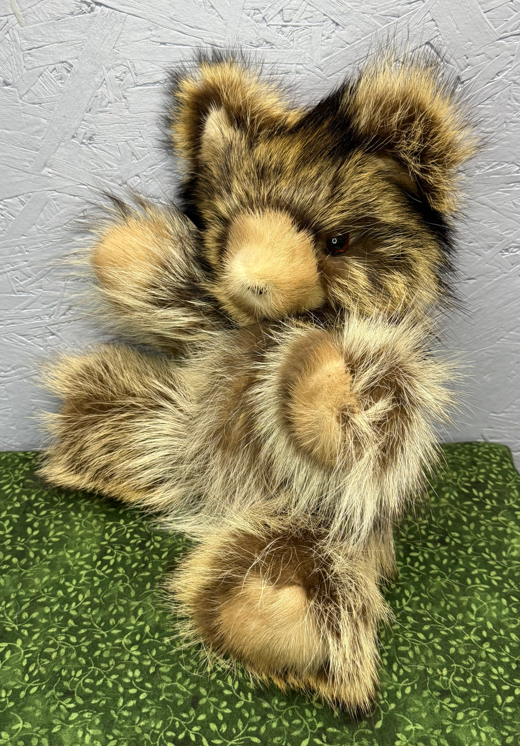 Raccoon Bear - Medium