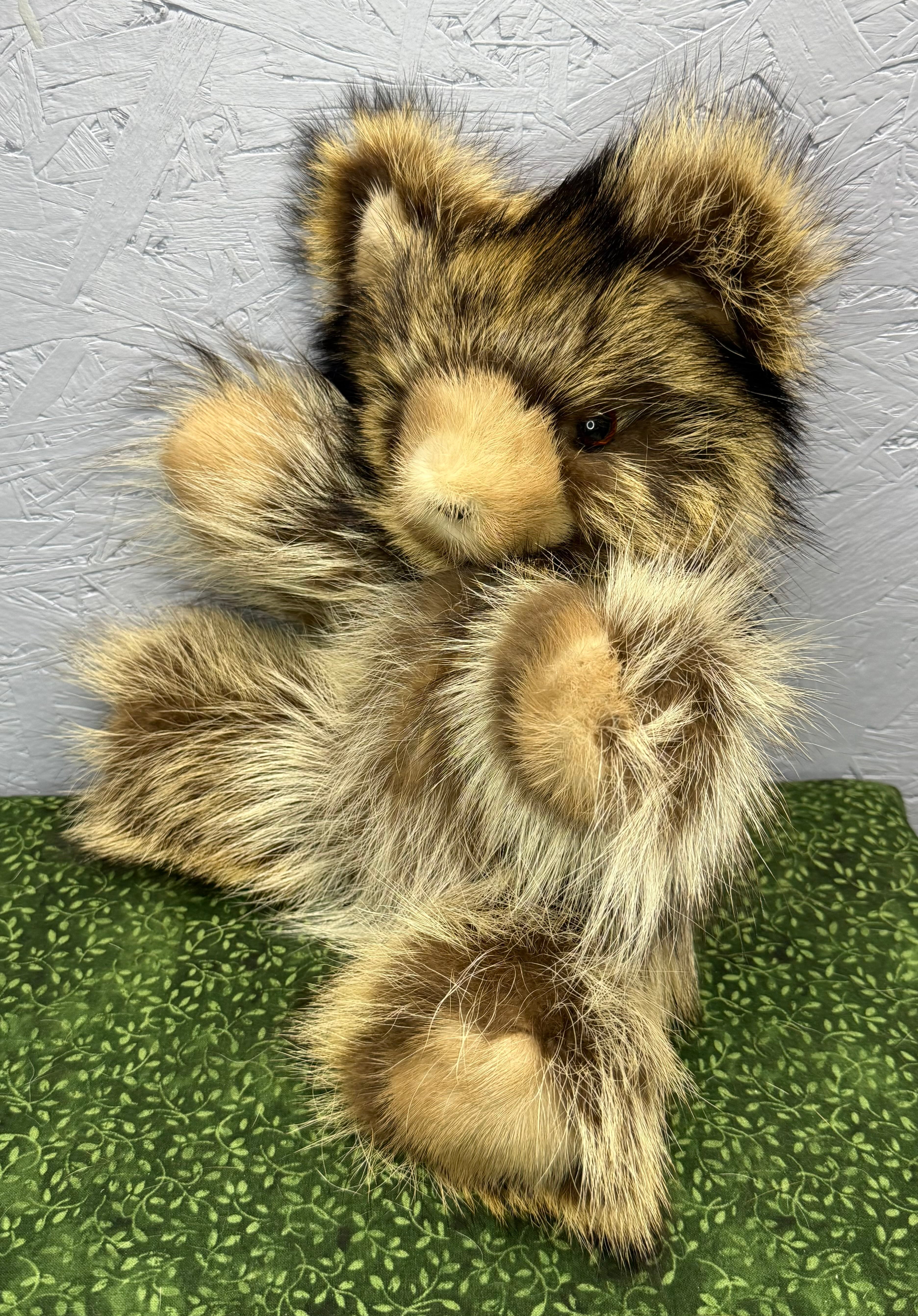 Raccoon Bear - Medium