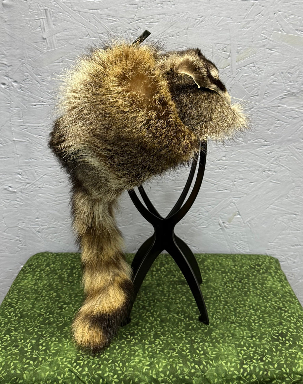 Raccoon Mountain Man Hat