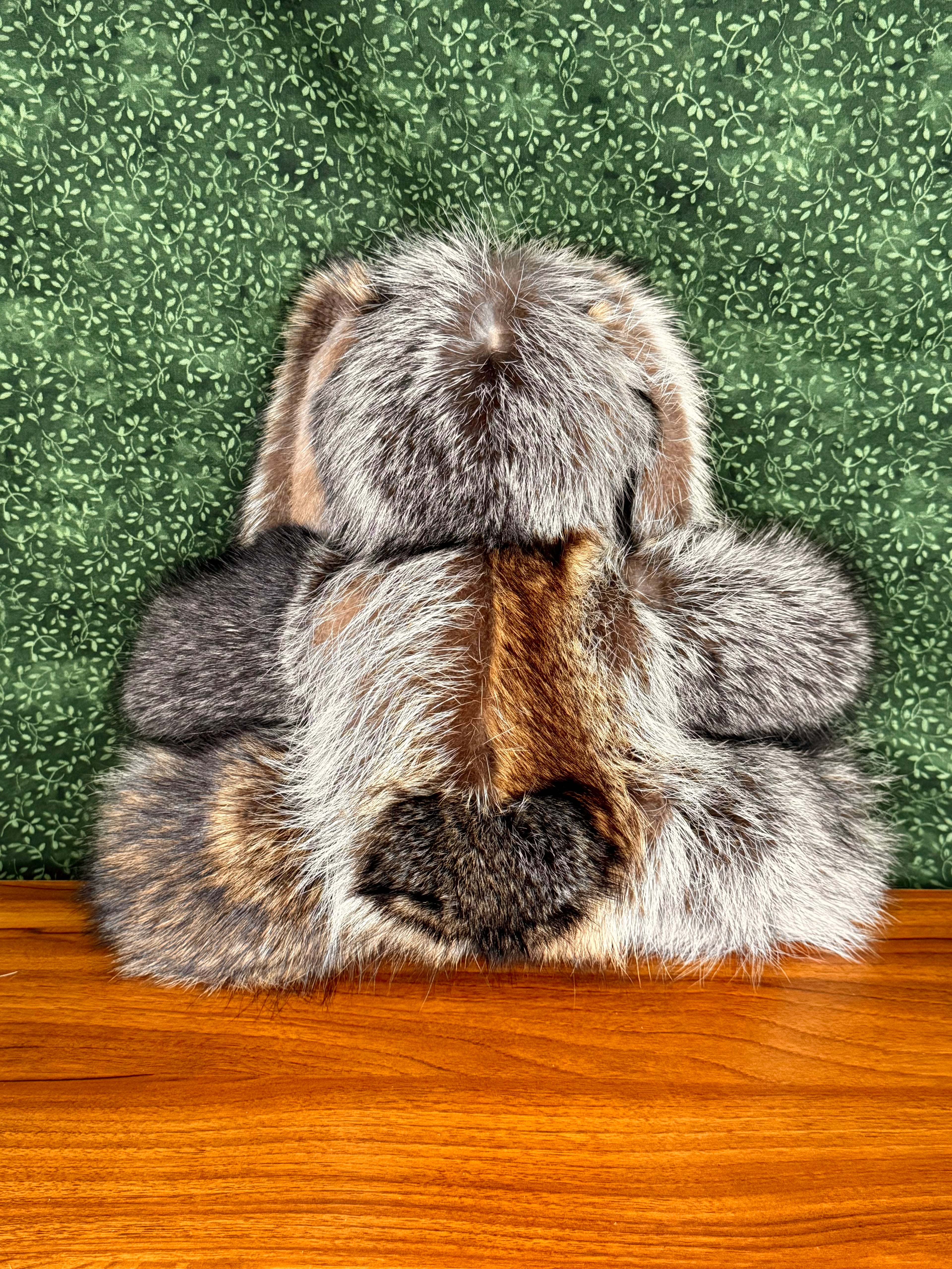 Raccoon Bunny - Large