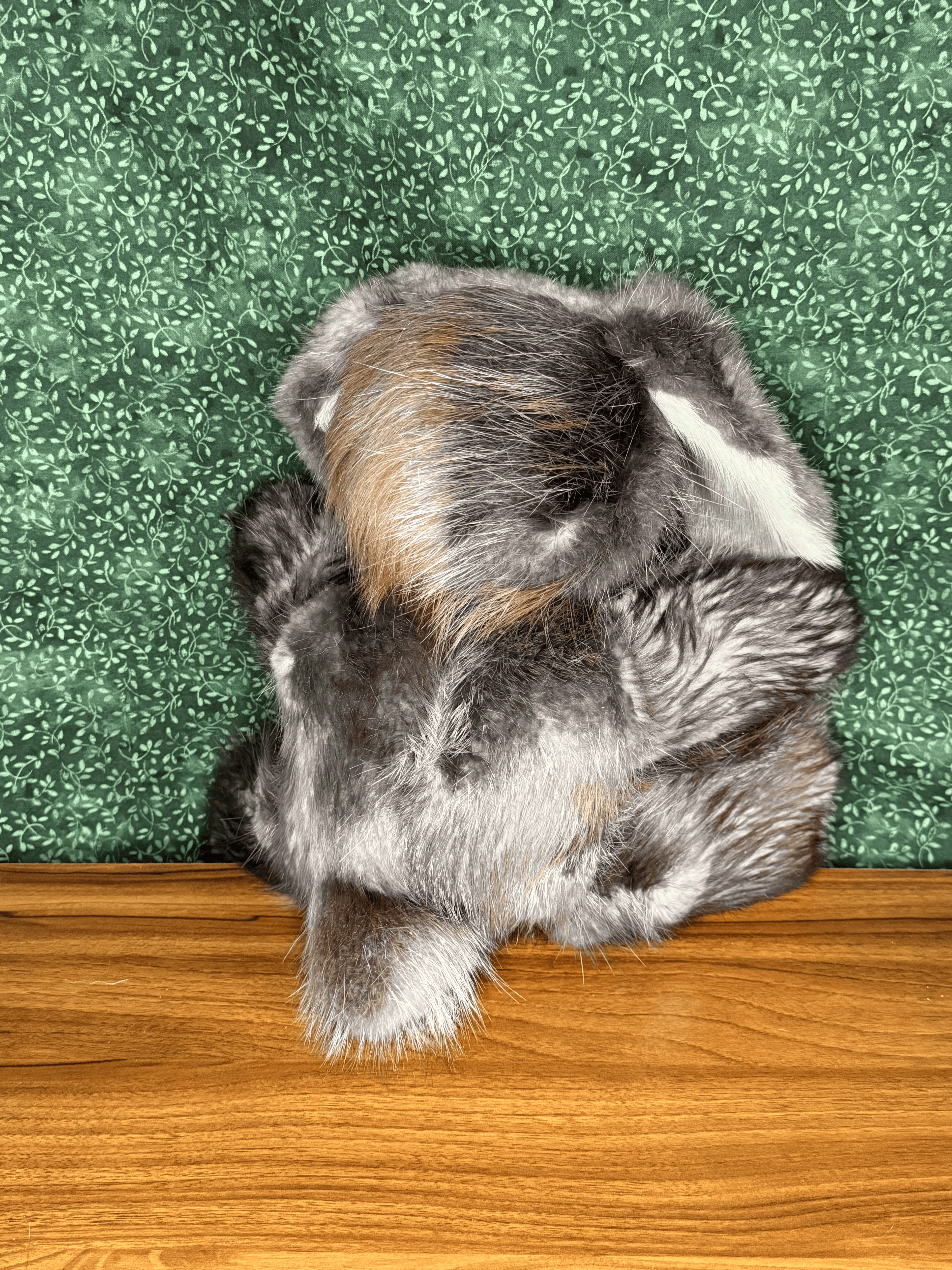 Beaver Bunny - Large