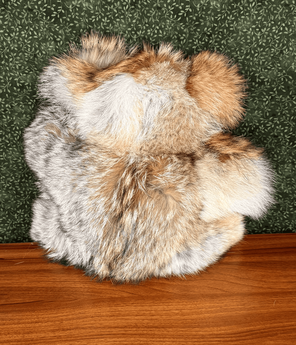 Coyote Bear - Large