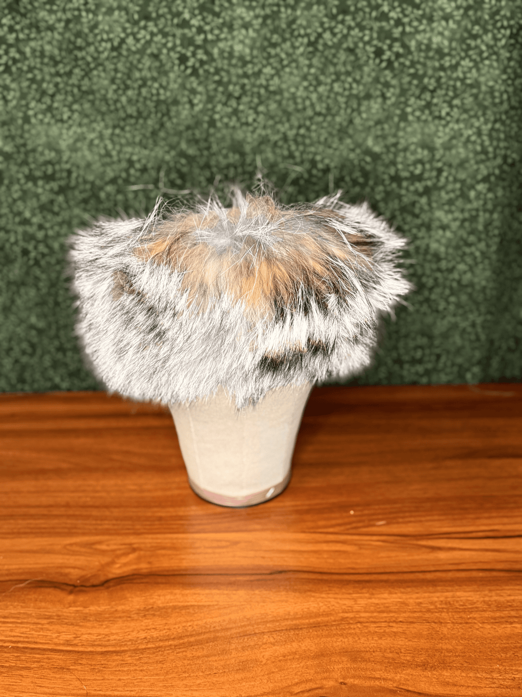 Coyote Headband