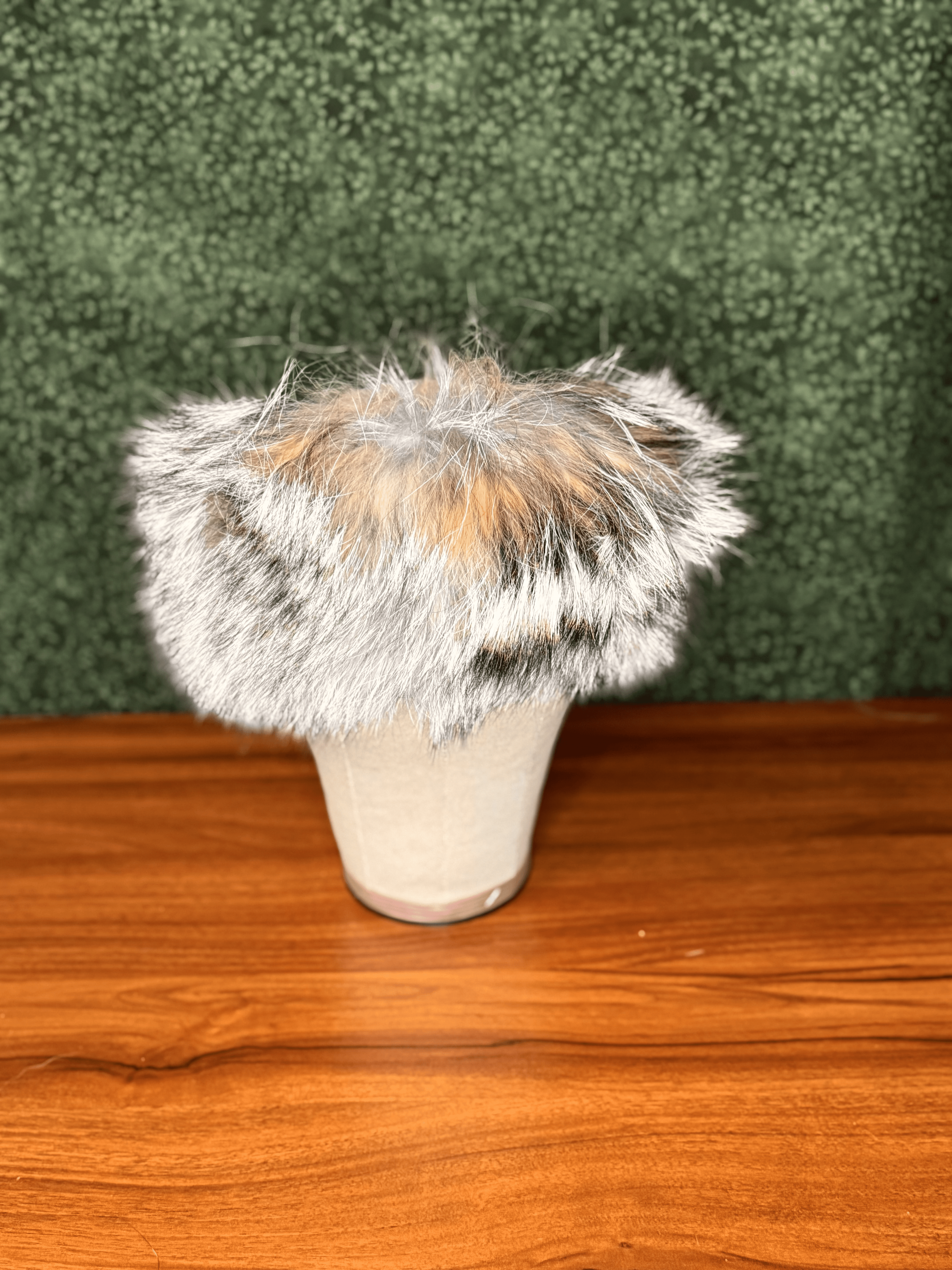 Coyote Headband