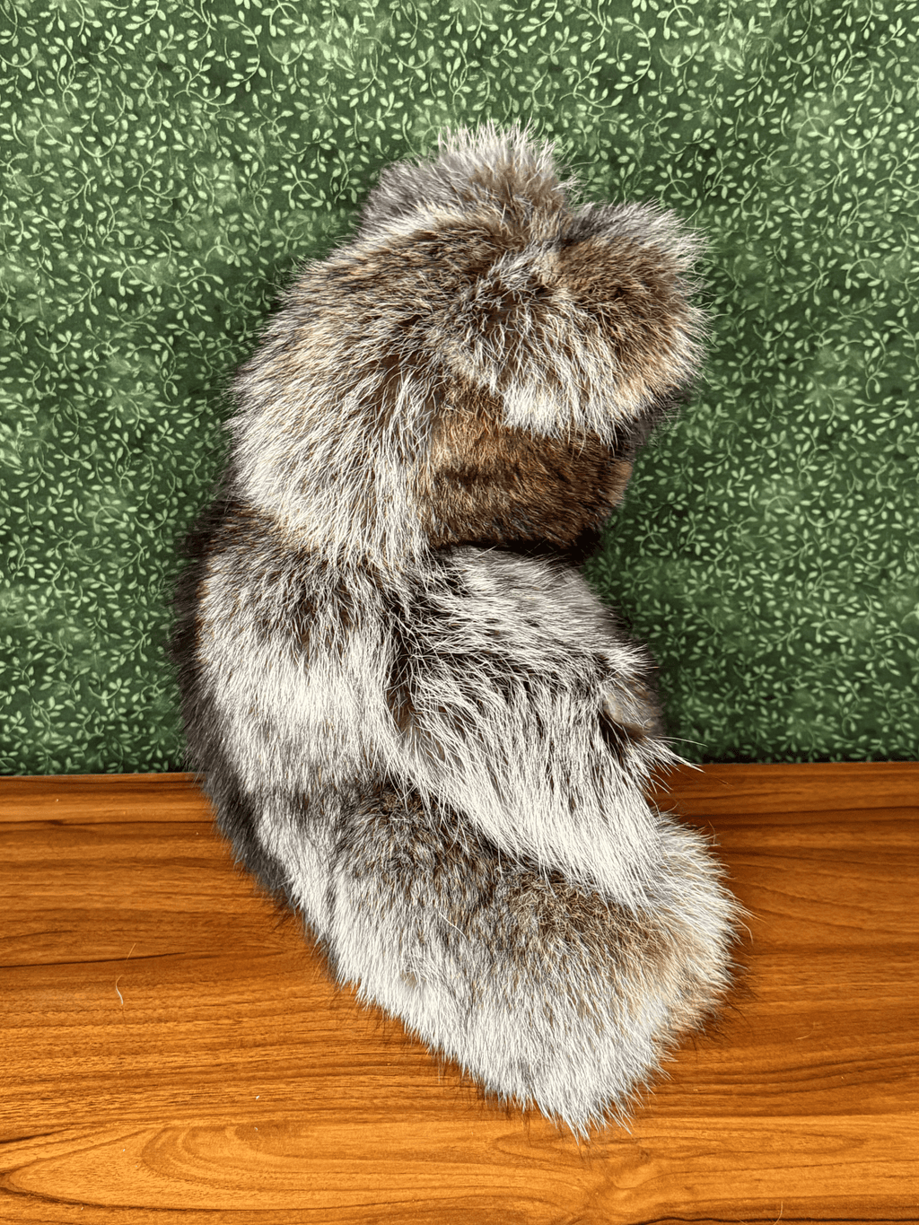 Raccoon Bear - Large