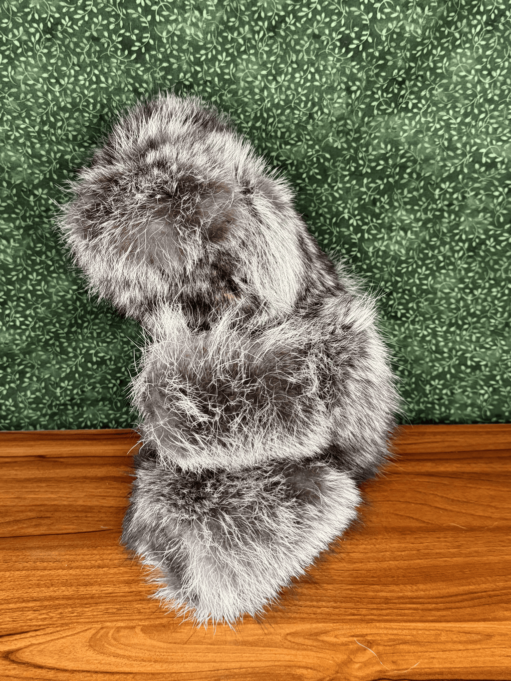 Raccoon Bear - Large