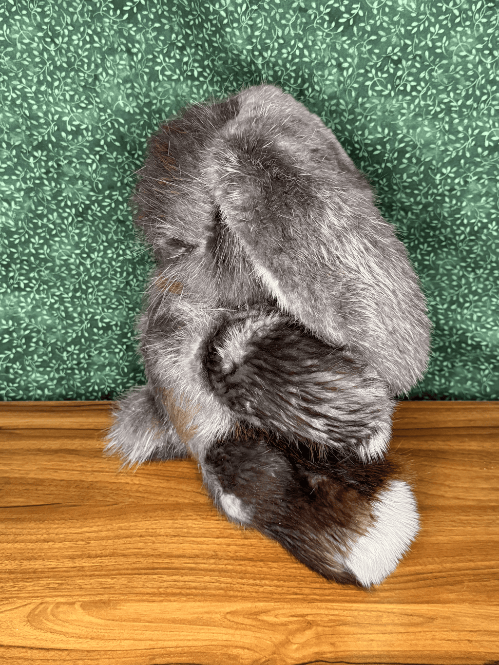 Beaver Bunny - Large